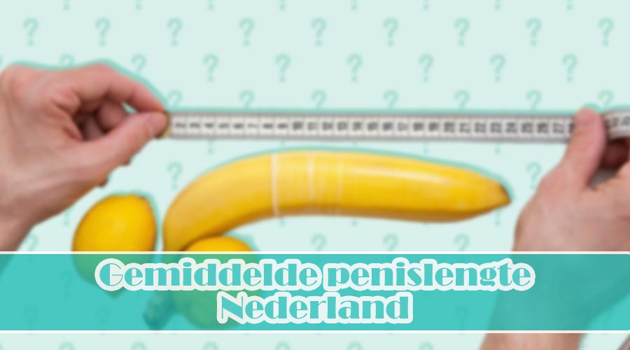 gemiddelde penislengte nederland